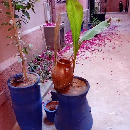 Riad Le Shams Marrakesh Bagian luar foto