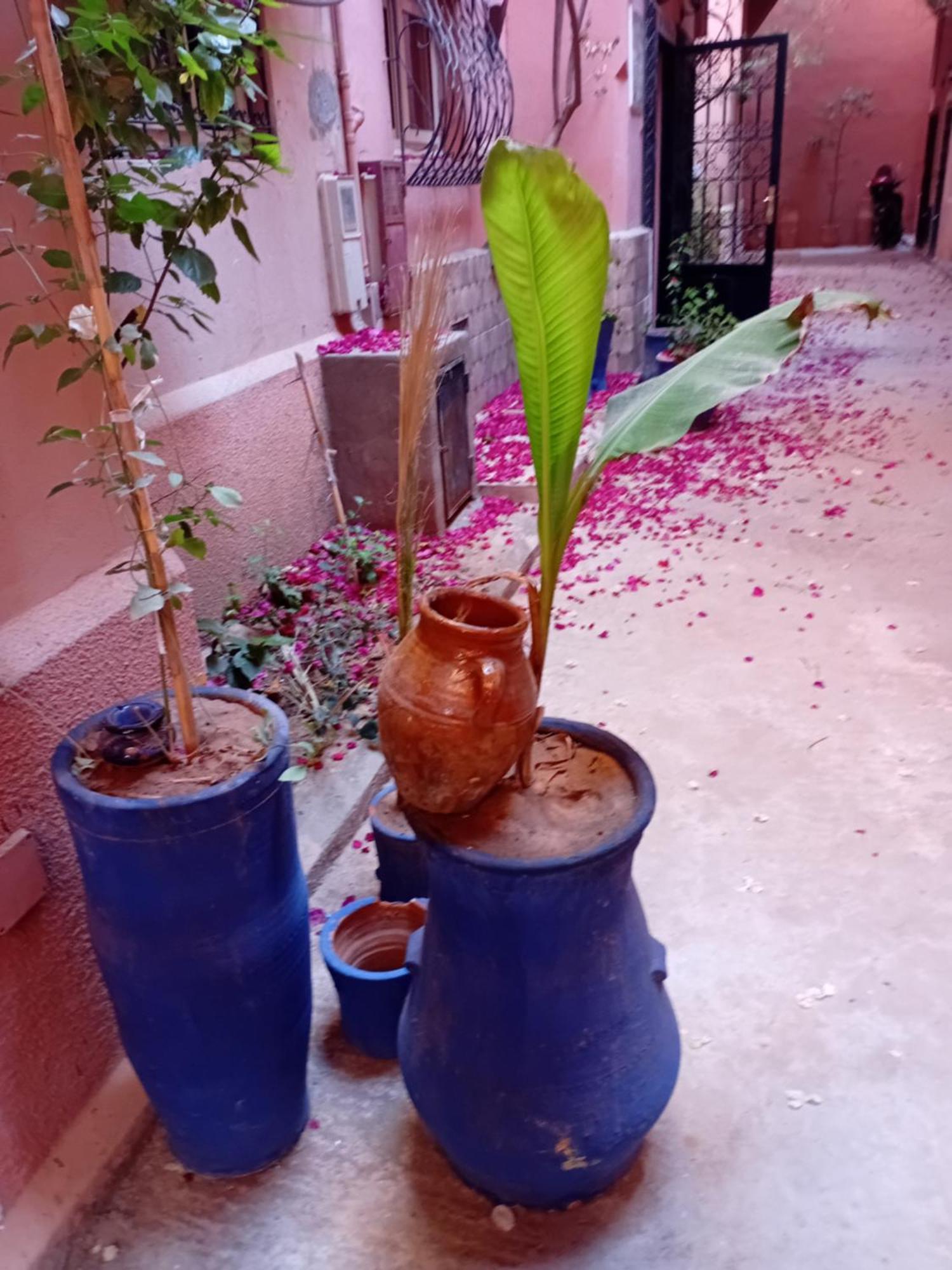 Riad Le Shams Marrakesh Bagian luar foto